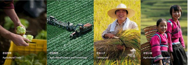 智慧農業開拓者