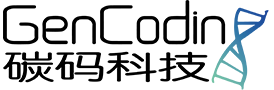 河南鵬盛管道設備有限公司